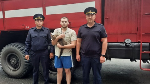 Инспекторы ГИБДД спасли из горящего особняка в Уфе мужчину с котом