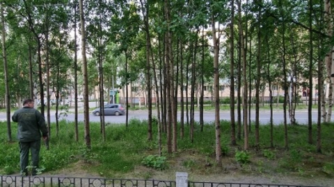 Задержан предполагаемый убийца восьмилетнего мальчика под Мурманском