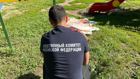 В Тольятти на детской площадке произошло двойное убийство