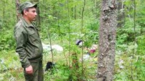 Житель Пермского края похитил и держал в лесу школьницу