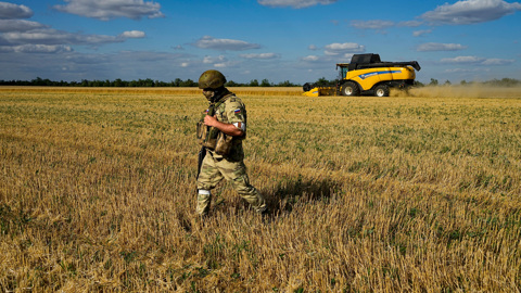 Из портов Украины вышли сразу 12 судов с продовольствием