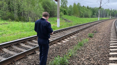 В Подмосковье подросток погиб под электричкой, не заметив ее приближения