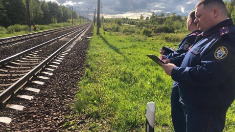 В Подмосковье поезд насмерть сбил 12-летнюю девочку на питбайке