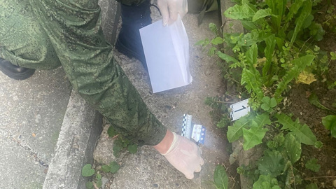 В Нижнем Новгороде разыскивают мать, оставившую младенца в кустах