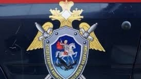 Красноярца задержали за показ порнофильма 10-летней школьнице