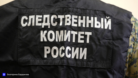В Перми задержали подозреваемых в убийстве женщины с ребенком