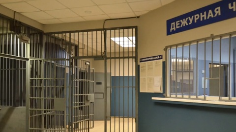Фигурантка дела о похищении ребенка в Москве задержана