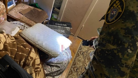 16-летняя москвичка зарезала собственного дедушку
