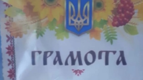 После скандала с символикой Украины в детском саду Читы прошли увольнения