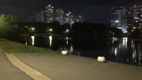 В Москве случайные прохожие спасли тонущего в пруду ребенка