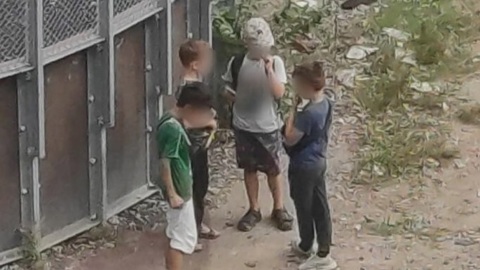 Кидавших камни в пенсионерку ивановских школьников нашла полиция