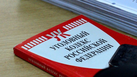 Подросток с другом до смерти забили знакомого и закопали его в огороде