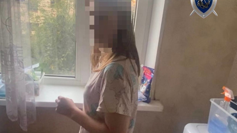 Женщину, выбросившую младенца в окно, нашли в Нижегородской области