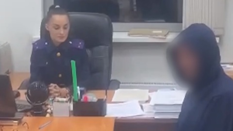 Зарубивший топором экс-подругу в булочной житель Подмосковья арестован