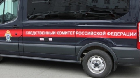 После ссоры с мужем женщина зарезала свою маленькую дочь