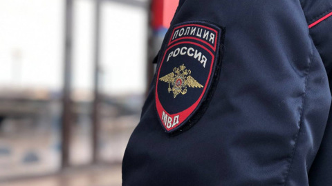 Нетрезвая женщина избила сотрудниц полиции в Ярославской области