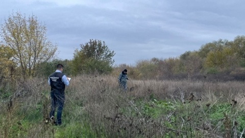 СКР установил причастного к убийству девочки в Ростовской области