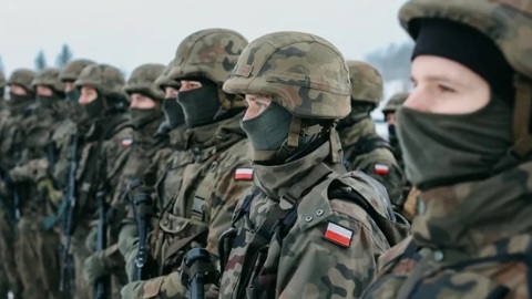 Шедших на прорыв польских наемников остановила российская артиллерия