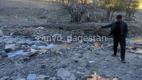 В Дагестане разделка коровьей туши закончилась поножовщиной