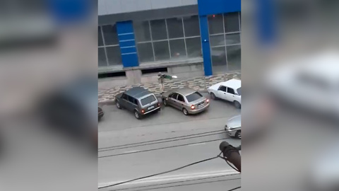 Полиция уточнила число жертв стрельбы в Крымске