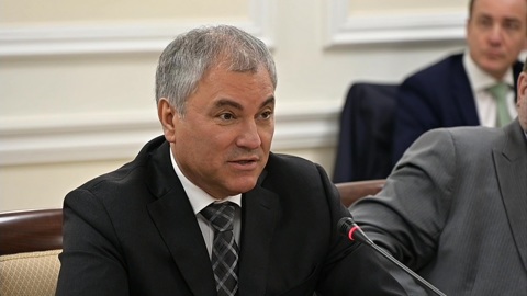Володин предложил "закон для негодяев"