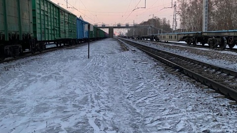 Грузовой поезд насмерть сбил юношу под Новосибирском