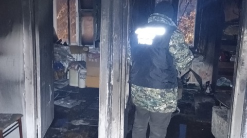 Бабушка и ее внучки погибли во время пожара в Свердловской области