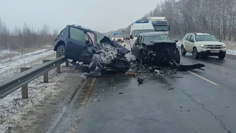 Два человека погибли в массовом ДТП под Липецком