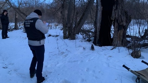 Школьница насмерть замерзла недалеко от своего дома в Башкирии