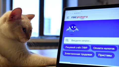 На "Госуслугах" отключили функцию удаления аккаунта