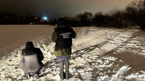В Ленобласти мужчине предъявлено обвинение в убийстве маленького сына