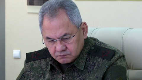 Шойгу определил порядок обеспечения добровольцев оружием