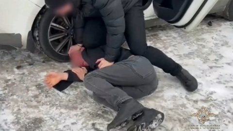 Подмосковная полиция задержала мигрантов, похитивших соотечественника