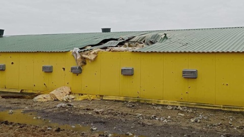 ВСУ обстреляли хутор под Белгородом