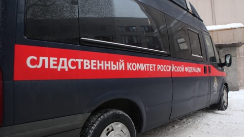 Под Петербургом подростки избили учительницу начальных классов
