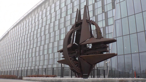 Почему США и НАТО отвергли предложение России