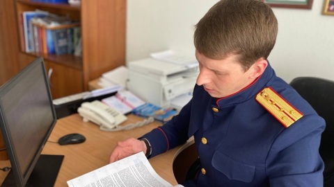 Из-за гибели в больнице ребенка с ангиной завели дело