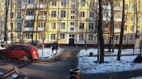 Мошенники выманили сбережения у 95-летней москвички