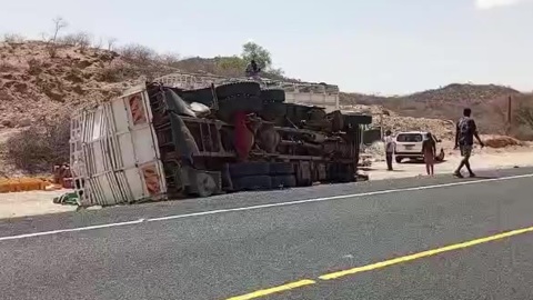 Попытка объехать верблюда привела к гибели 14 человек