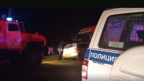 Двое детей и их родители погибли в ДТП после встречи с диким животным