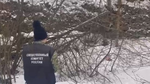 С найденной в Выборге человеческой ногой разбирается следствие