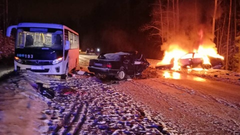 Годовалый ребенок выжил в смертельном ДТП под Выборгом