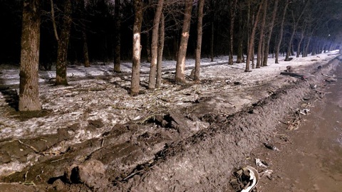 Компания подростков разбилась на машине в Ростове