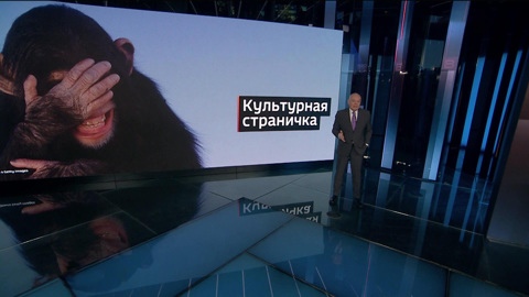 Следующая цель – дети: Киселев о сходящем с ума Западе