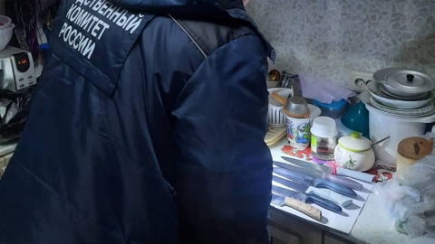Москвичка зарезала племянницу во время ссоры на кухне