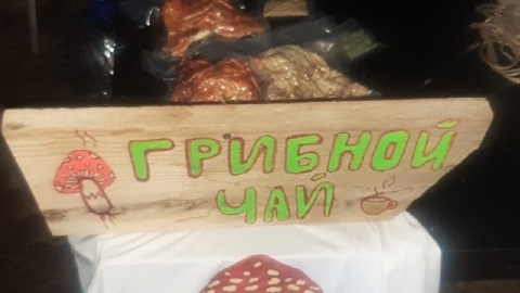 С мухоморным микродозингом разберутся санврачи
