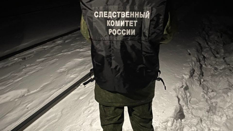 Несовершеннолетняя девочка попала под поезд в Ленобласти