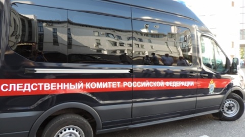 Зарезавший выгонявшую его из дома бабушку внук задержан