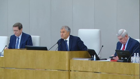 Володин осудил хайп на засыпающем Слуцком