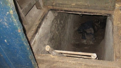 Омскую пенсионерку и ее сына нашли убитыми в потайном погребе